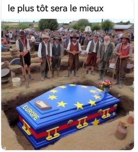 Mathias L tweet media