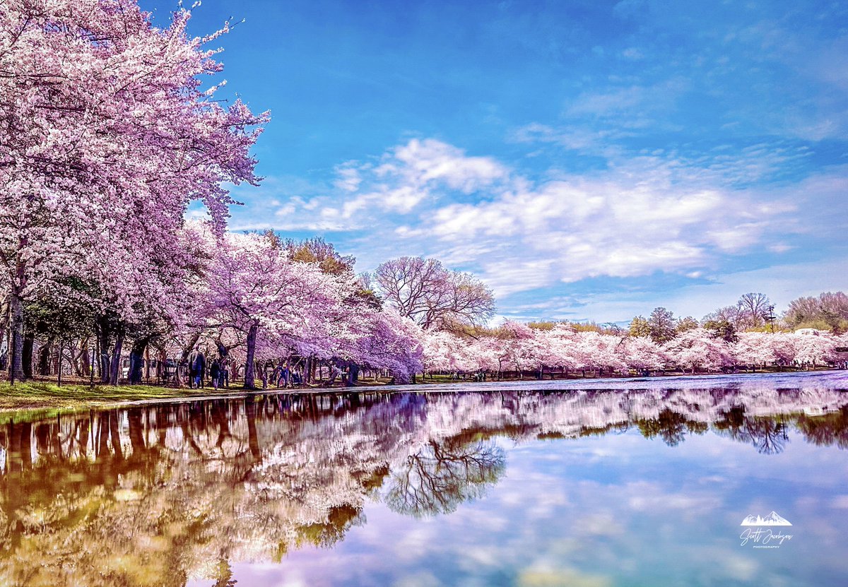 Scott Jacobson tweet media