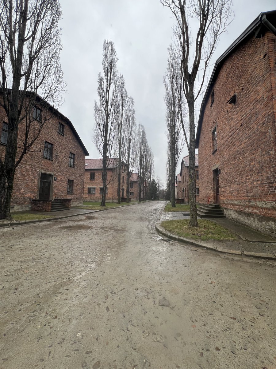 Roz Rothstein tweet media