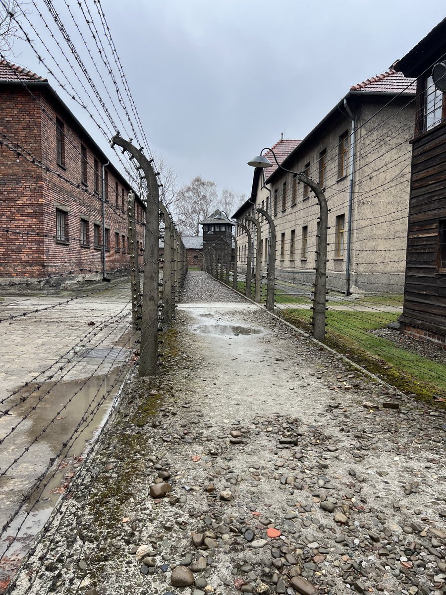 Roz Rothstein tweet media