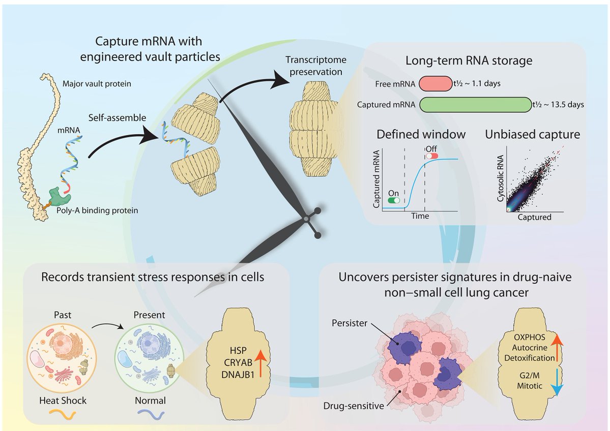 Waggoner Lab tweet media