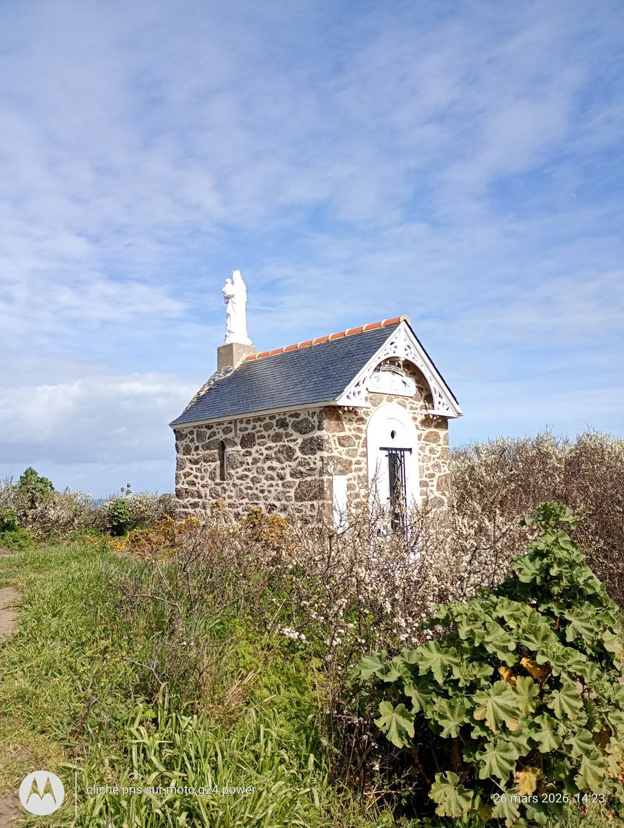 Thibault Chaplain 🏈🍺✝️ ⚾ tweet media