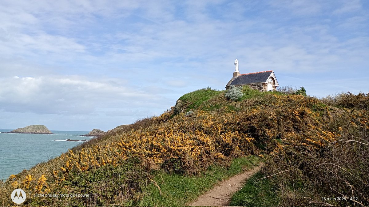 Thibault Chaplain 🏈🍺✝️ ⚾ tweet media