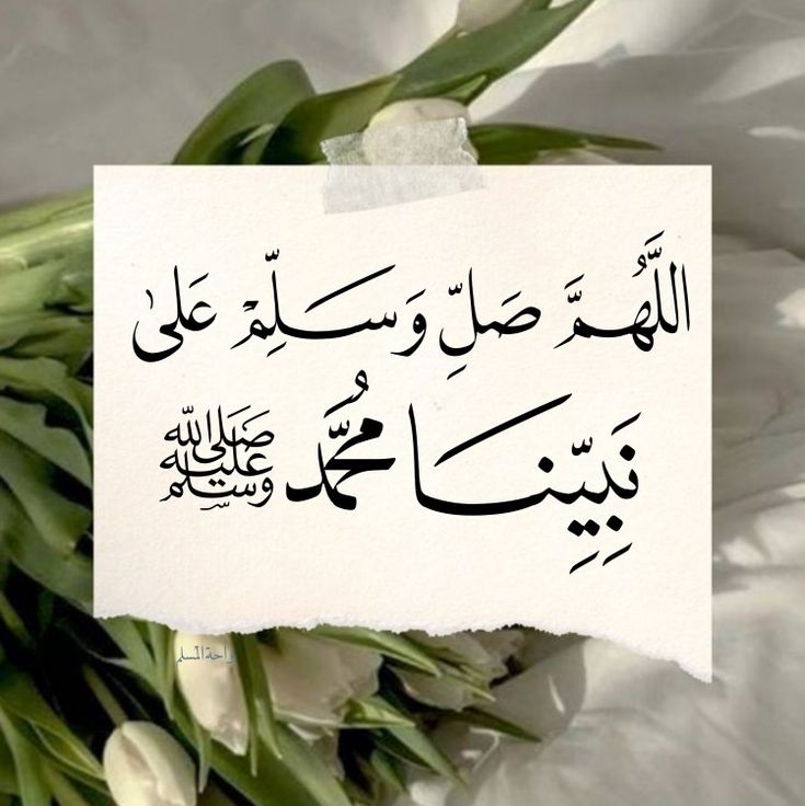 أم شيخه 🤍 tweet media