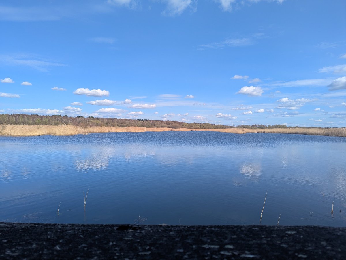 JimJones123's tweet photo. Been birdwatching today at RSPB Old Moor...Spring is on the way. https://t.co/7b8fjrQIzp