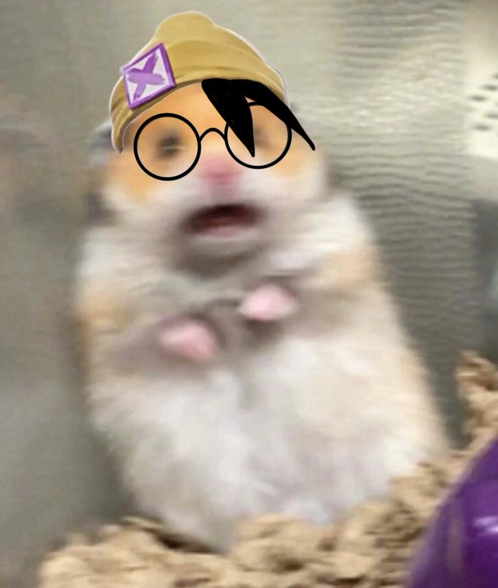 김생강🐺 tweet media