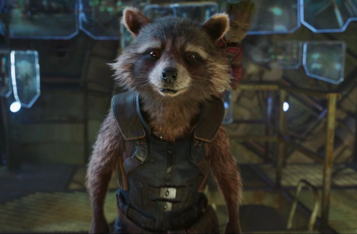 Aloha 🧢🦝 tweet media