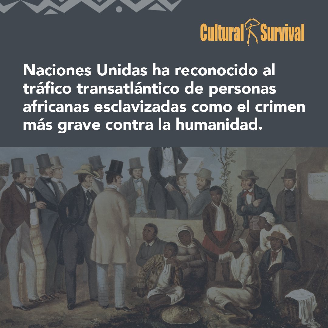 Cultural Survival en Español tweet media