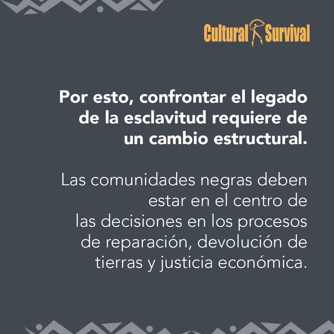 Cultural Survival en Español tweet media