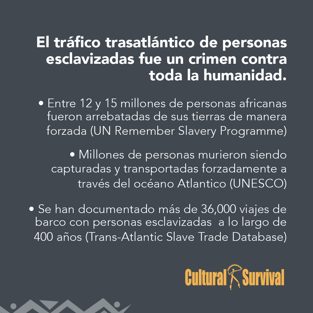 Cultural Survival en Español tweet media