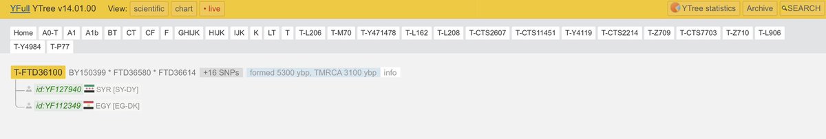 Y-DNA Sequencing in Egypt tweet media