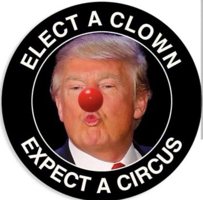 Isabel M tweet media