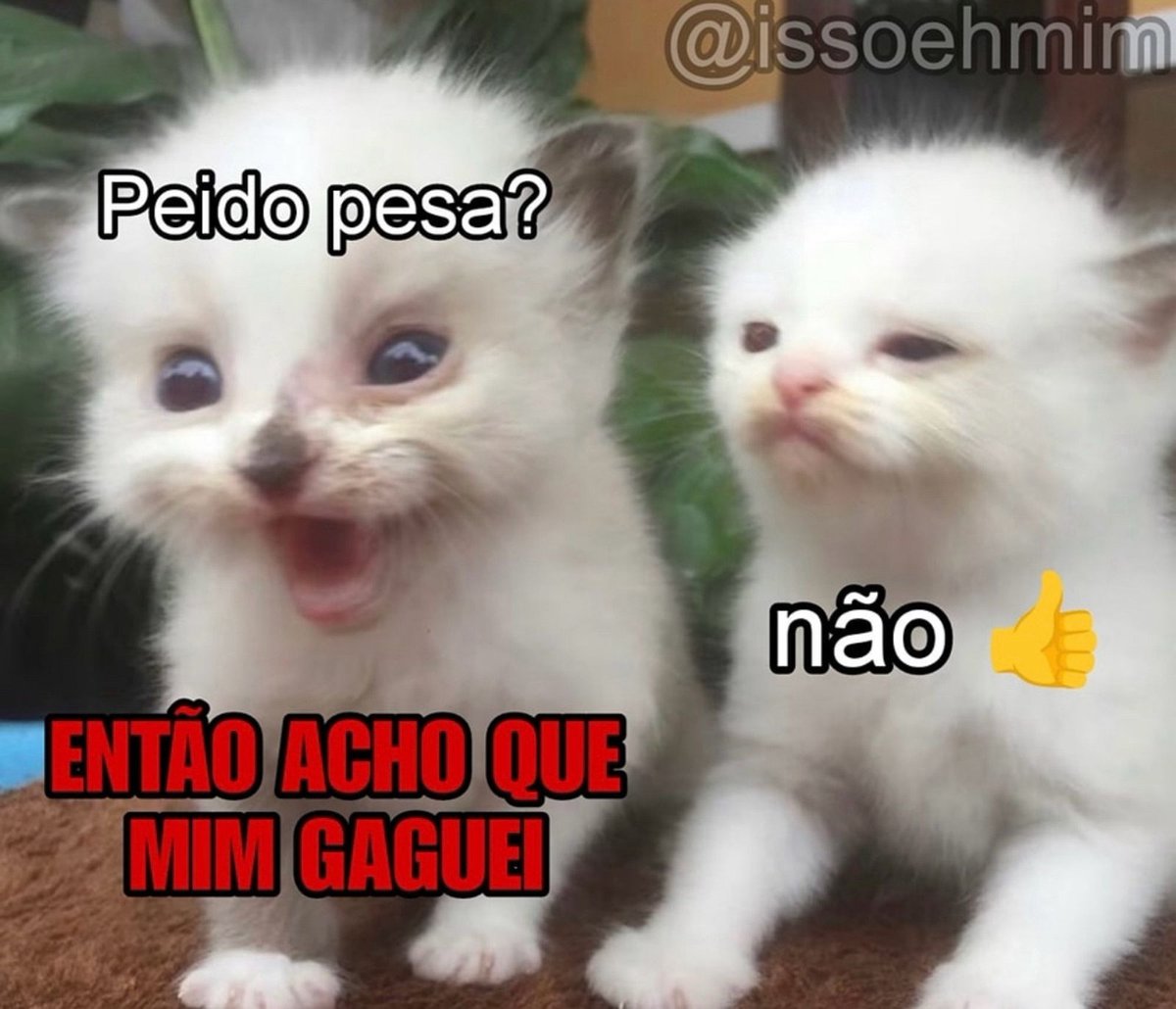 Calvo 😔 tweet media