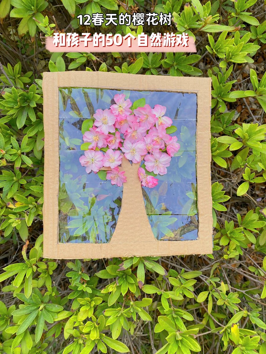 Daniel Levant tweet media