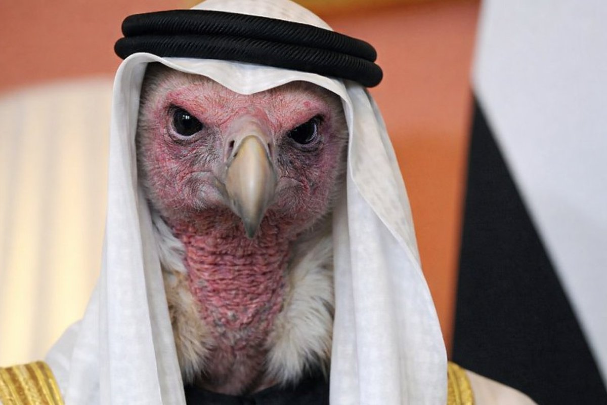 The Nous tweet media