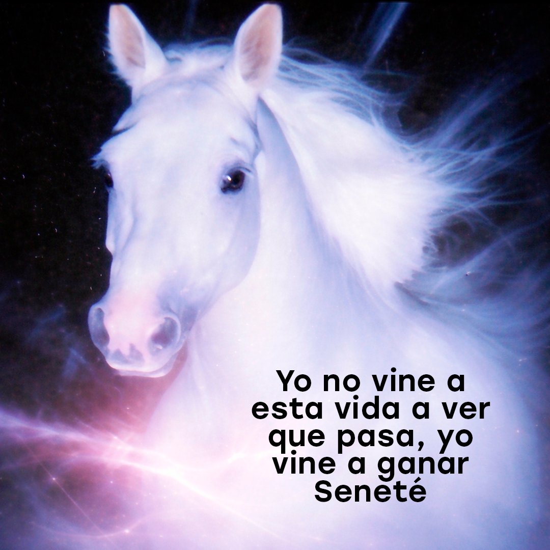 Senetepy's tweet photo. https://t.co/qF4WSDTNvE