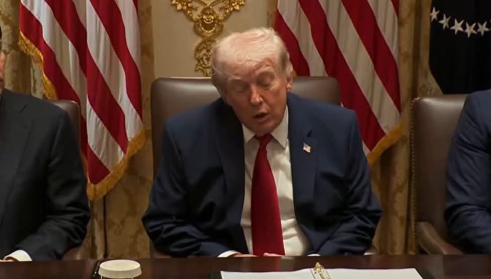 Occupy Democrats tweet media