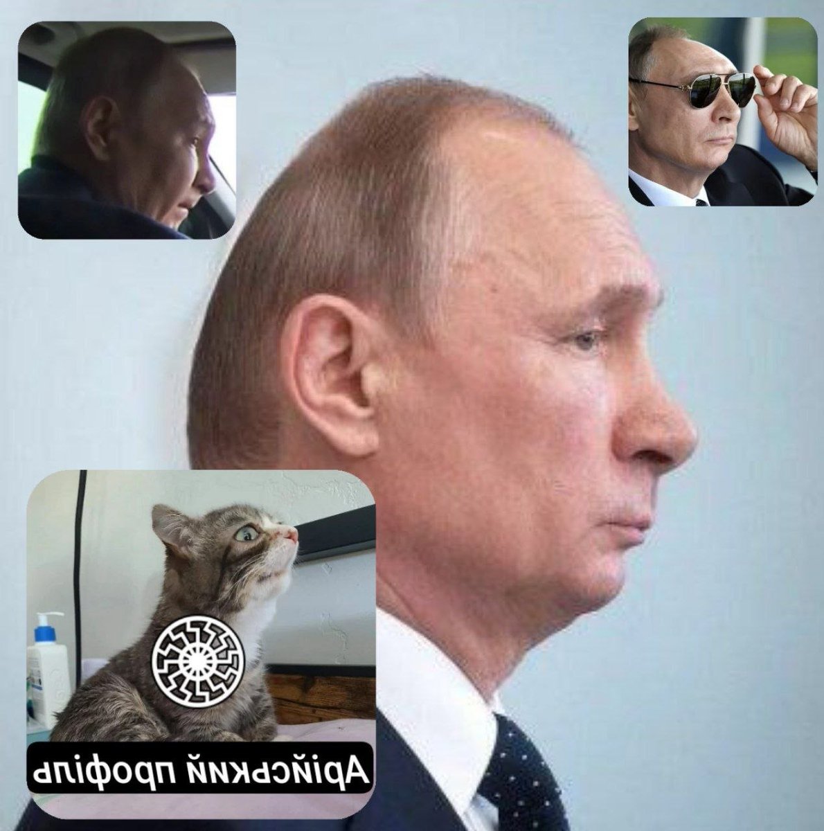 BMD-4 in Bucha groyper tweet media