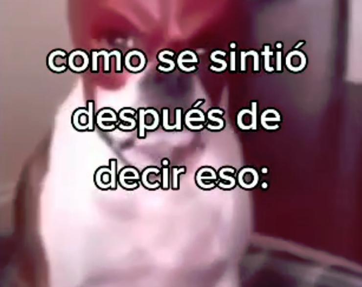 Streamloots ES tweet media