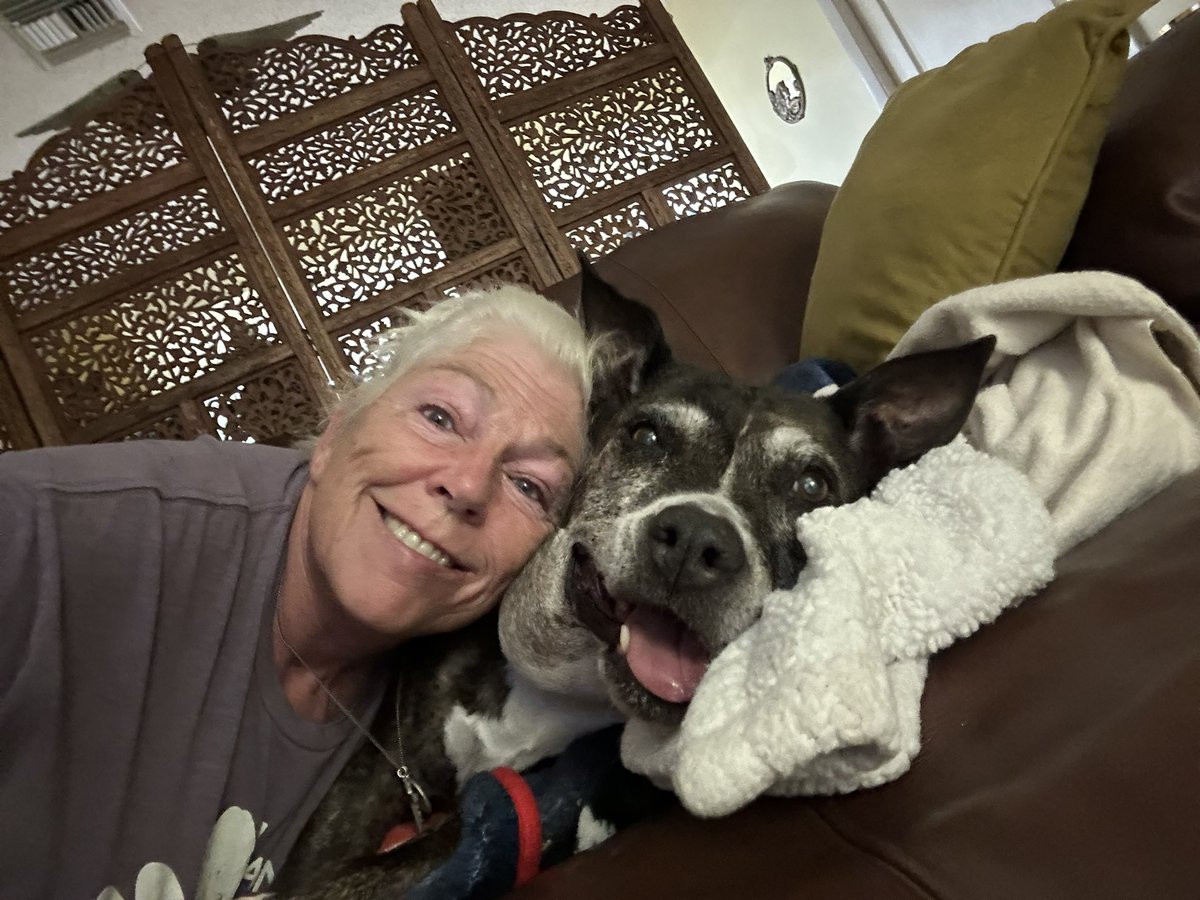 Colleen the Vet tweet media