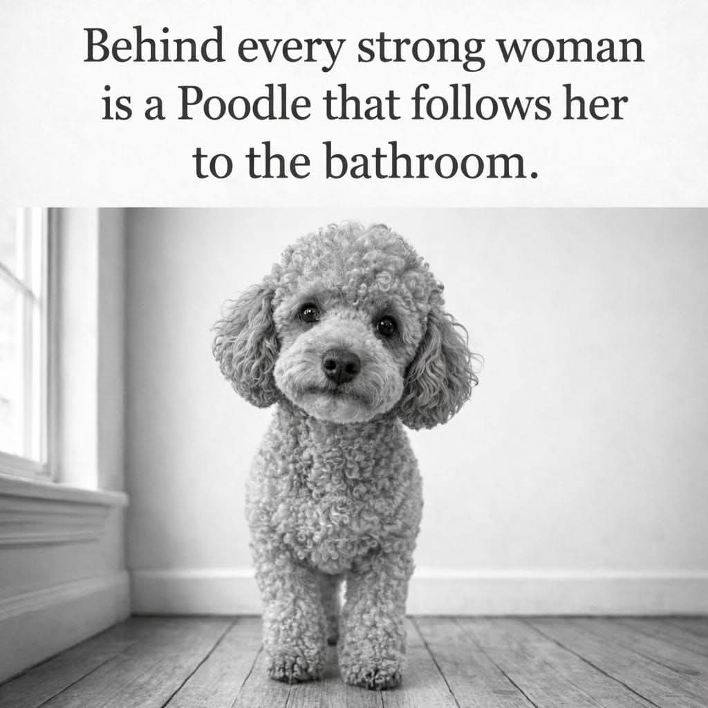 Andy Leach ♌️ tweet media