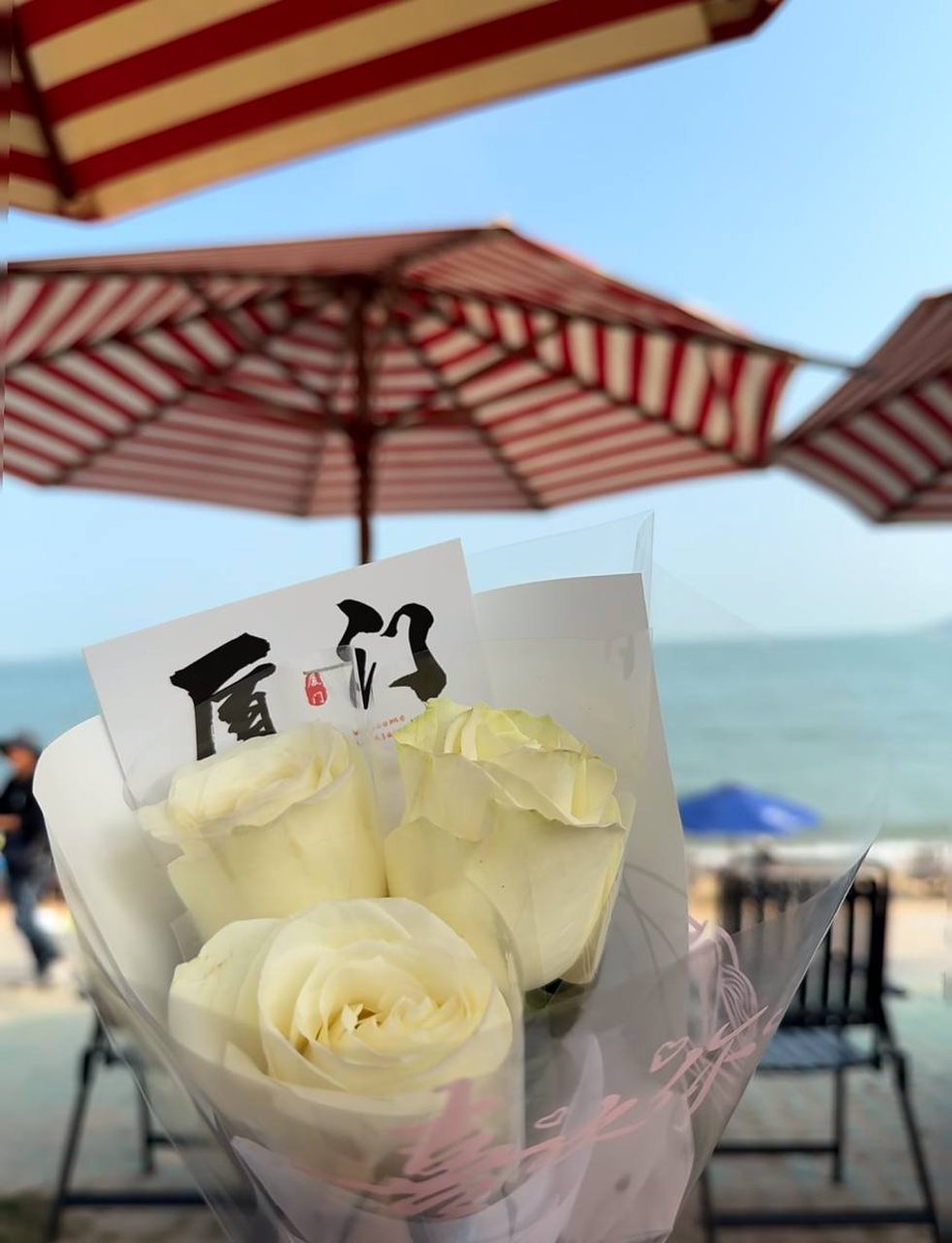 梦里听花🌙 tweet media