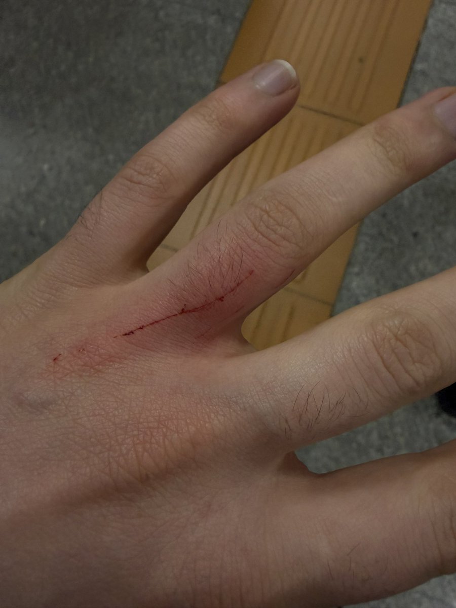 ekrem seçim tweet media