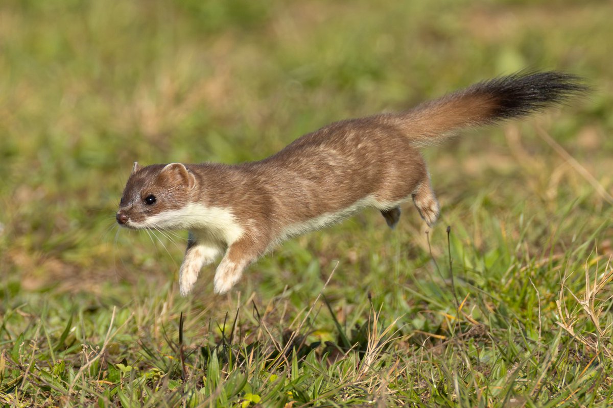 Keith Warmington tweet media