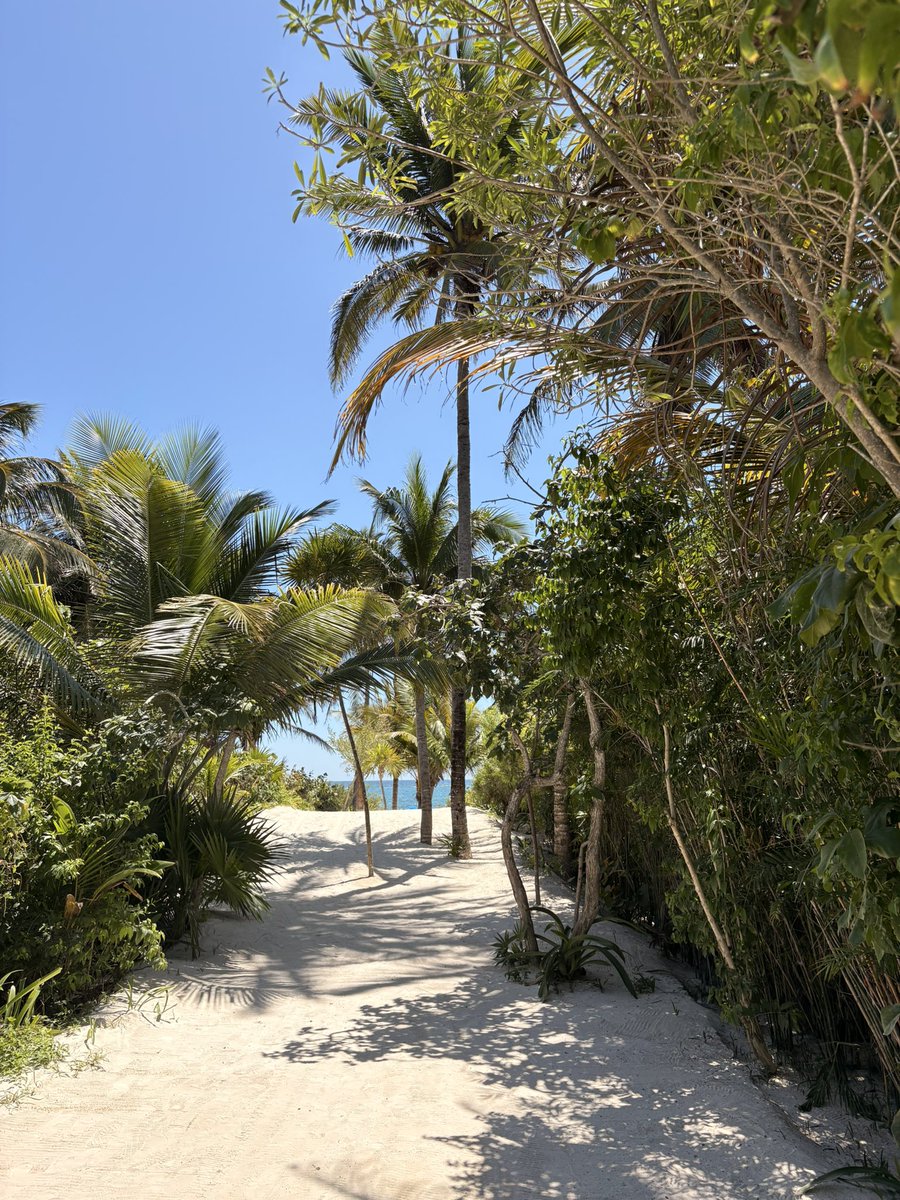 Migue (yo) tweet media