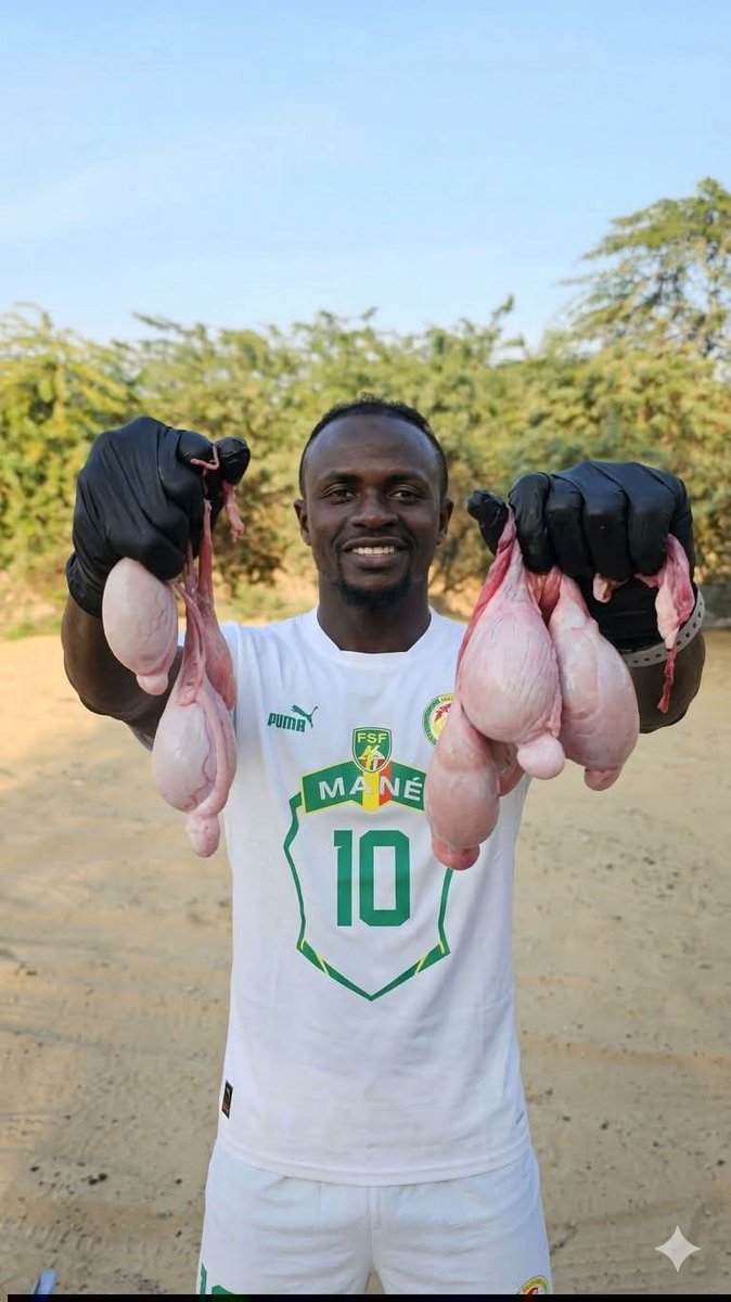 Madjid Zaoui tweet media