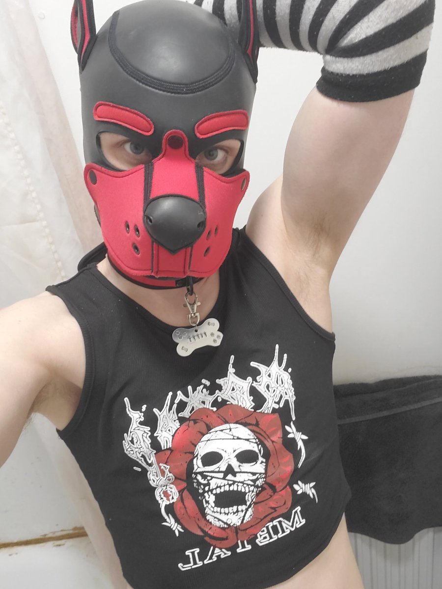 Pup Ruby tweet media