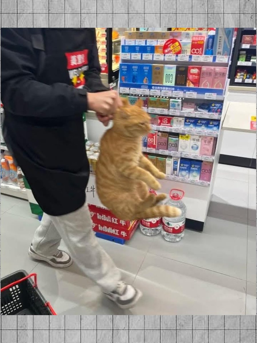 Pachinko tweet media