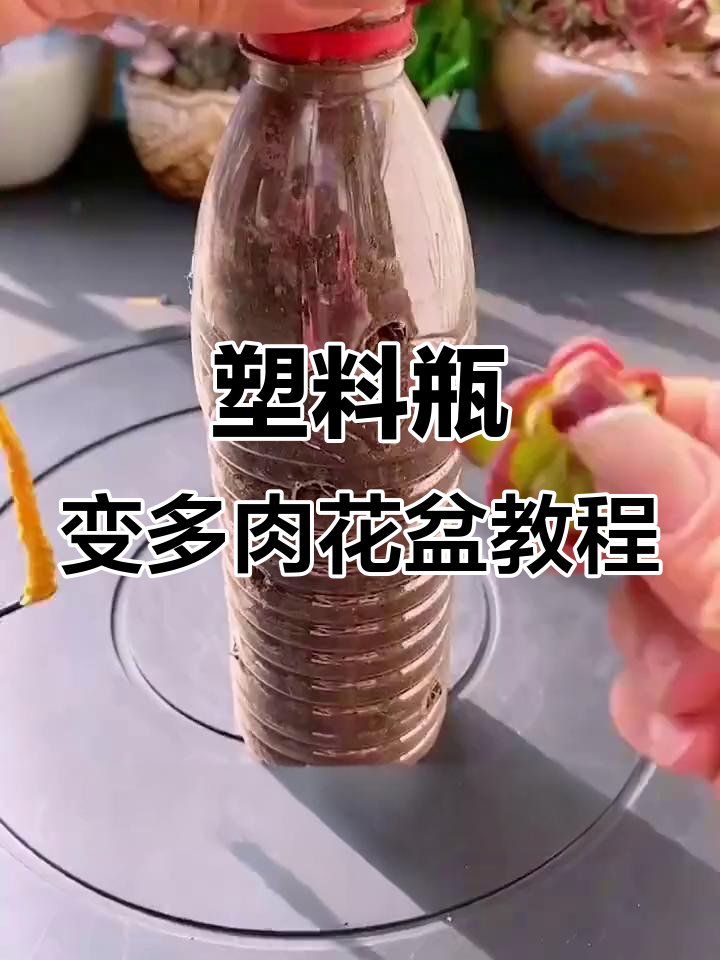 Skylar sessoms tweet media