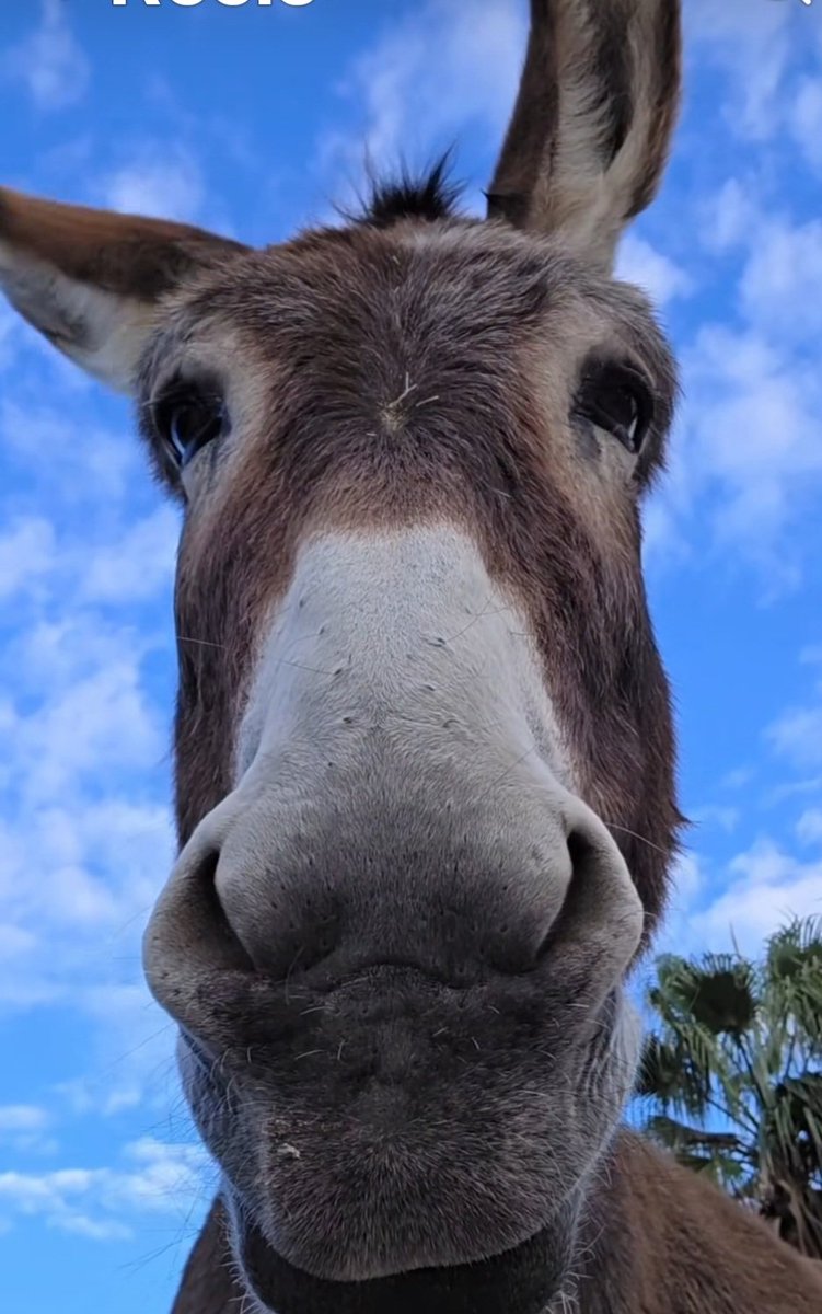 LolitaMDQ💛 tweet media