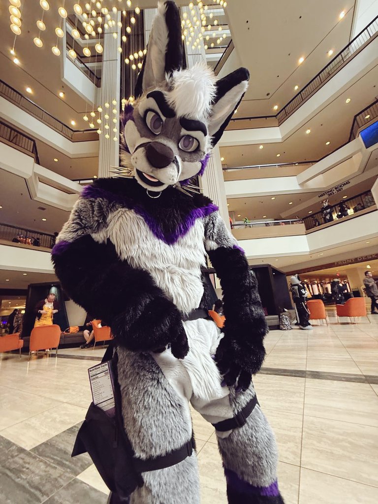 Belmont ➡️ TFF tweet media