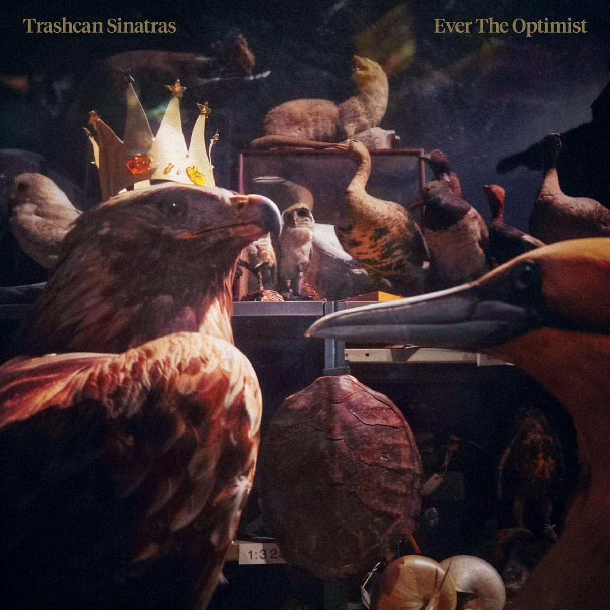 TheTrashcans's tweet photo. Our new album “Ever The Optimist” is released on July 31 and available for pre-order now - https://t.co/8tqwtzfVrP

The 11 track album comes in different color variants of the 12”, a CD and other items, with more coming later! https://t.co/empAqwNVvu