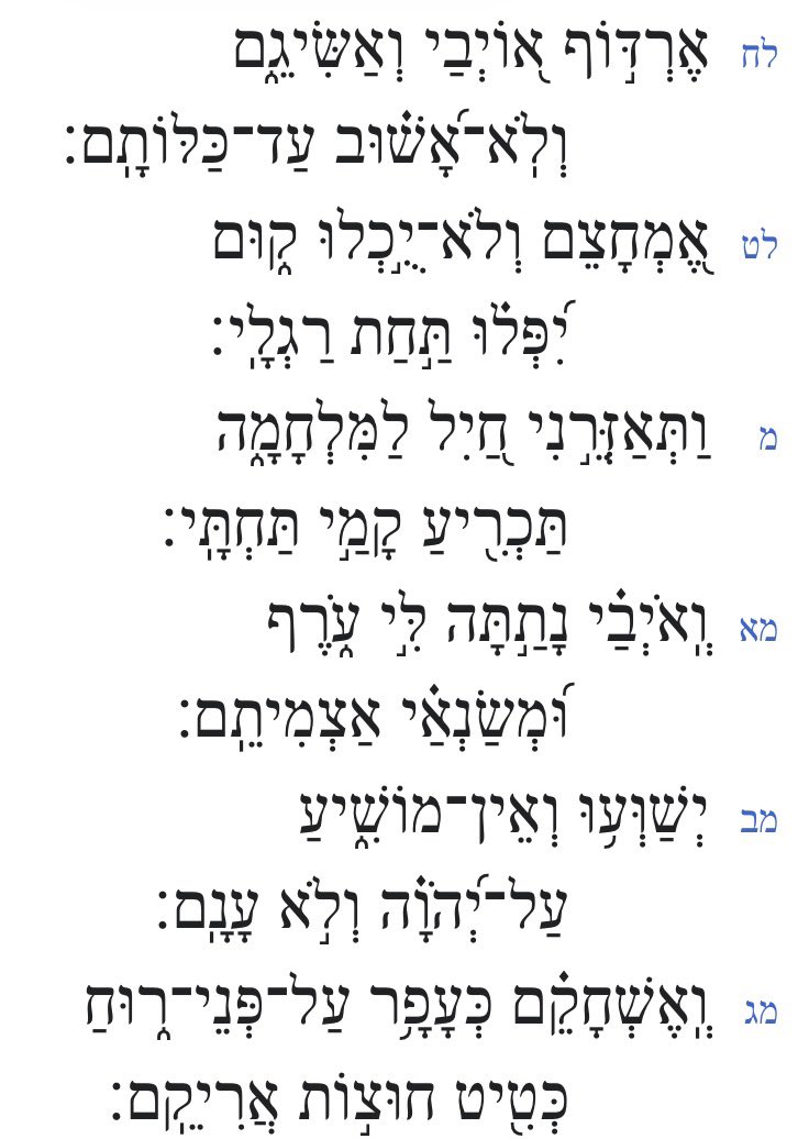 Presamiga tweet media