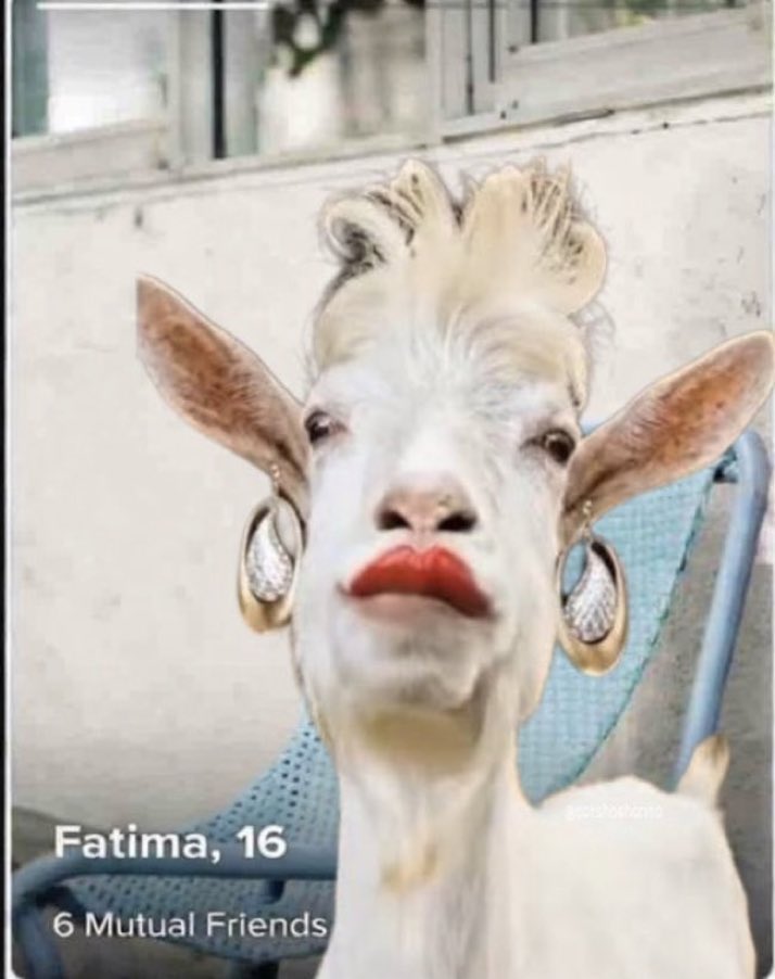 N Ecc 🏴🏴🏴 tweet media