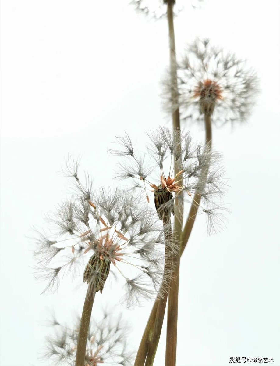 john Masia tweet media