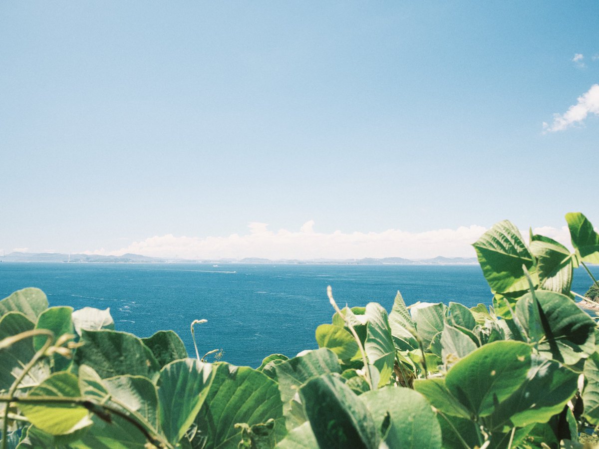 naotokirimare's tweet photo. FUJIFILM X100Ⅵ https://t.co/Gaeemd9fMz