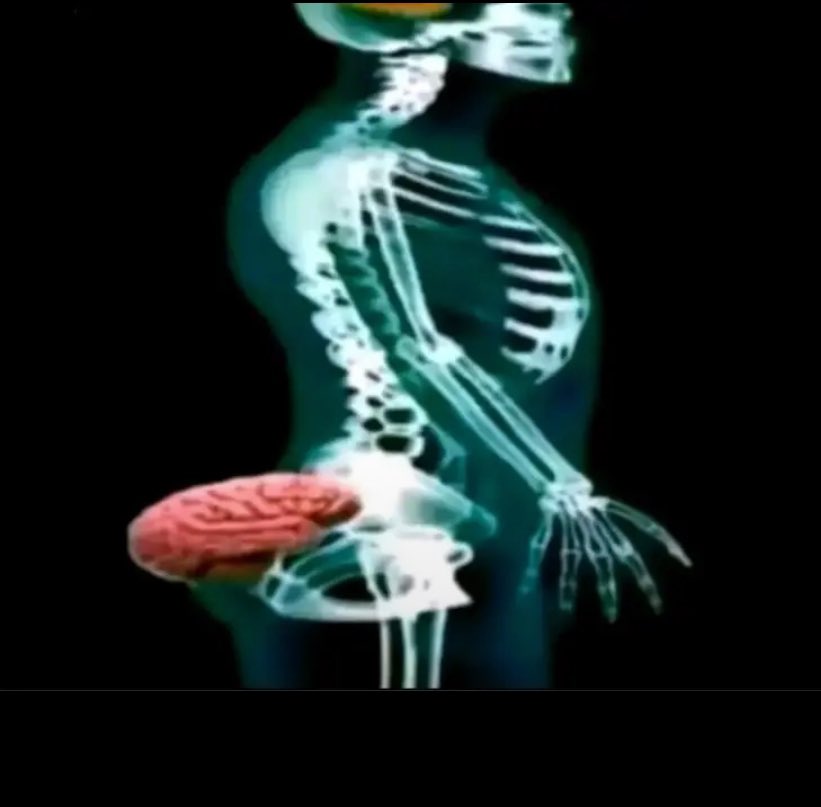 your worst nightmare 🥳 tweet media