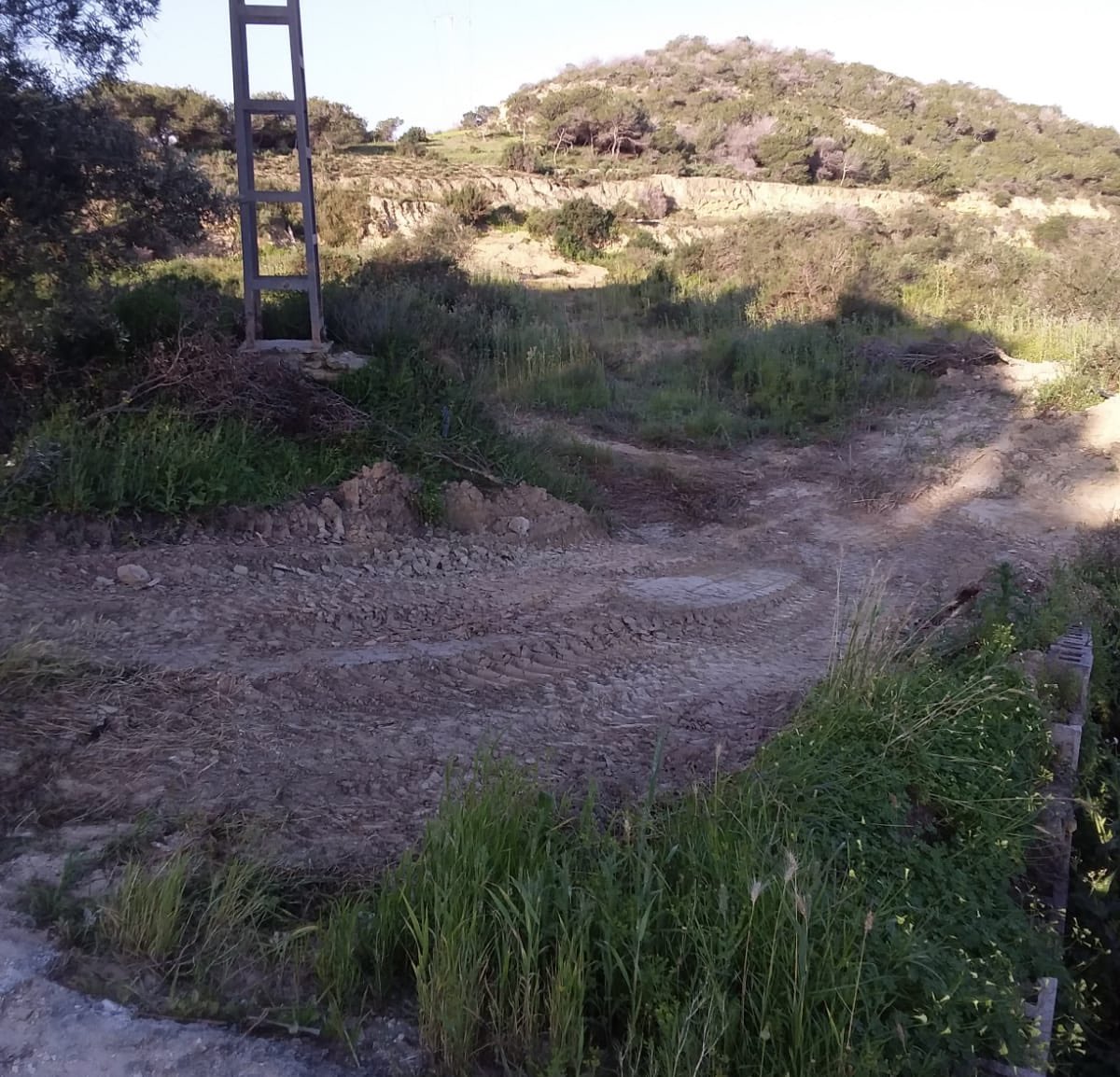 José Luis Sáez tweet media