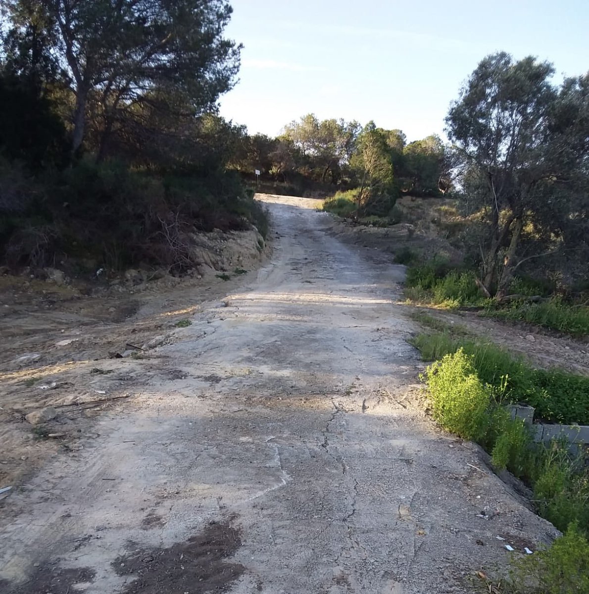 José Luis Sáez tweet media