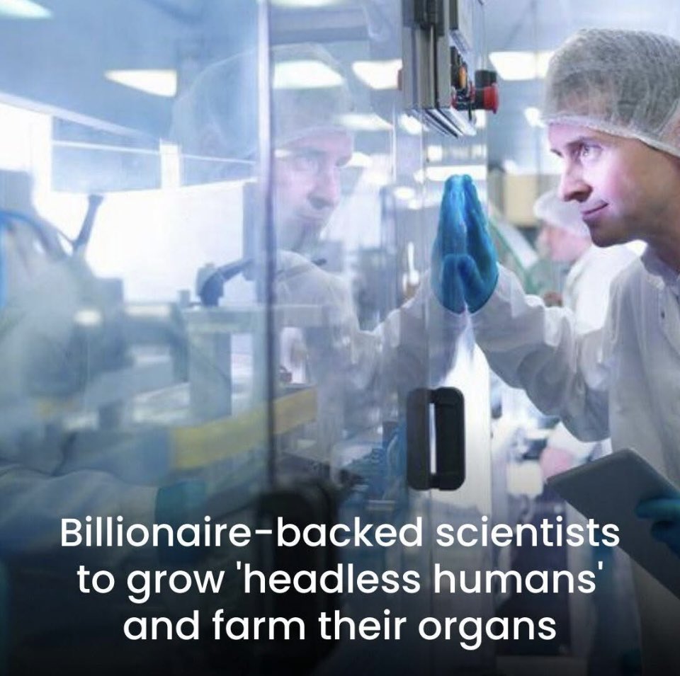 DR JANE RUBY™️ tweet media