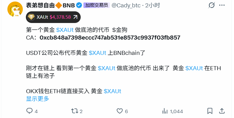 cccamilatapia's tweet photo. 这个ca:0xcb848a7398eccc747ab531e8573c9937f03fb857
这个畜生@Cady_btc 跟傻逼一样，搞了一个假池子，看着是1万u的池子，实际上目前就几百u的池子，跟他妈妈的逼一样傻逼，还买彩票，我买你妈逼，畜生发币的，别买，大家多报警 https://t.co/EU3BXD1M3C