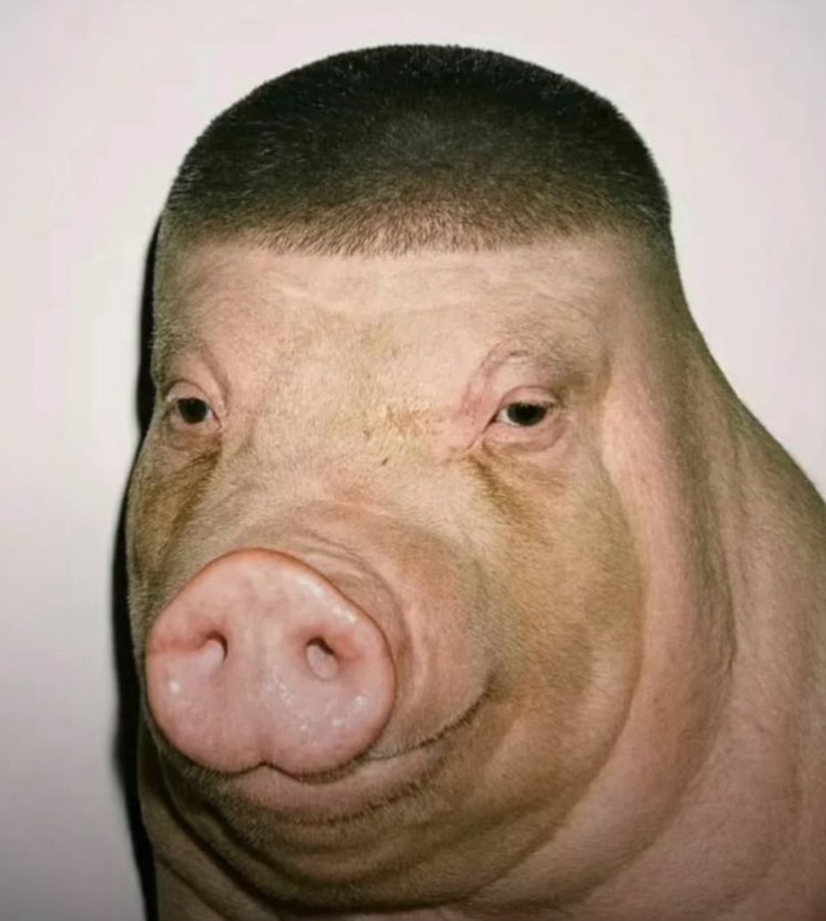 Federal Bureau of Control tweet media