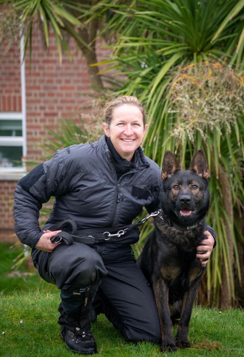Devon Police Dogs tweet media