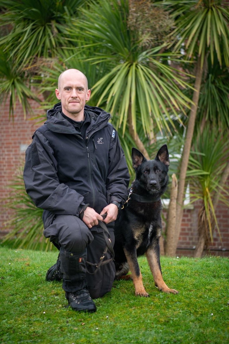 Devon Police Dogs tweet media