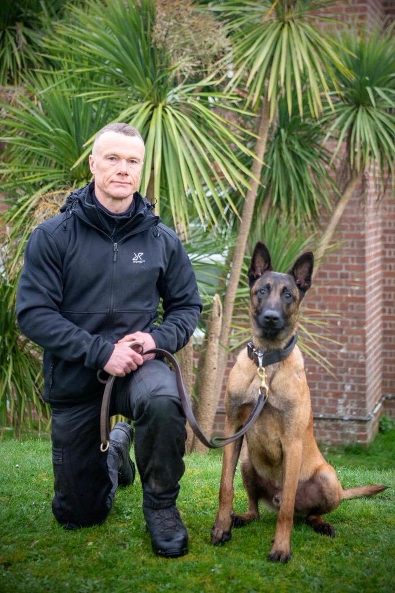 Devon Police Dogs tweet media