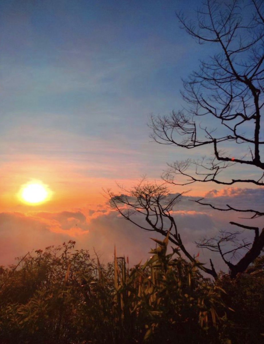 Wild Bill tweet media